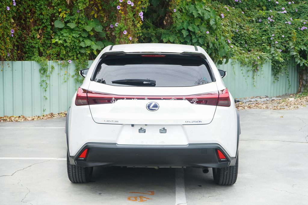 LEXUS 2019年 UX250h 2.0豪華版5